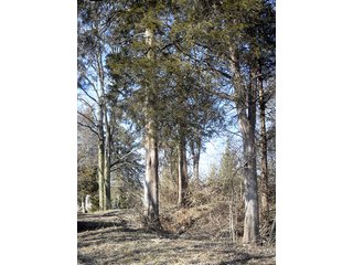 Property photo 1 - OHIO LAND AUCTION, 136+/- Acres offered in 4 Tracts from 7 to 72 Acres